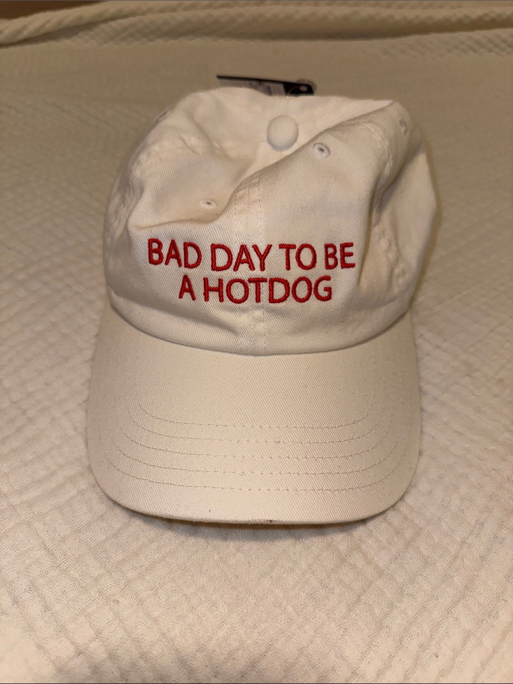 Bad Day to be a Hotdog Hat